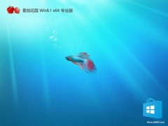 <font color='#990000'>ѻ԰v2025.11win8.1 64λ</font>